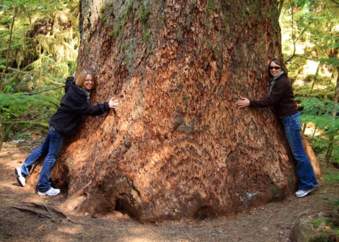 Seattle: Olympic National Park Small-Group Tour - Scenic Attractions