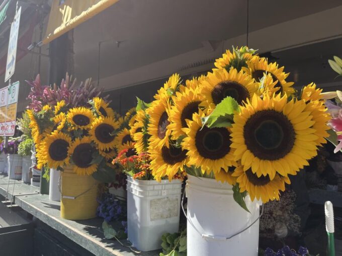 Seattle: Pike Place Market Plant-Based Food Tour - Food Tastings