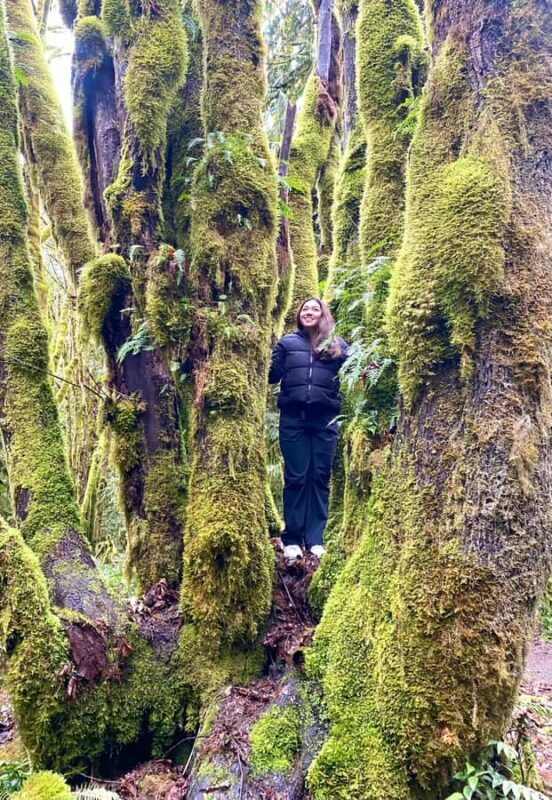 Seattle: Rainforest and Olympic National Park Highlights - Lakes and Scenic Vistas: Lake Quinault and Lake Crescent