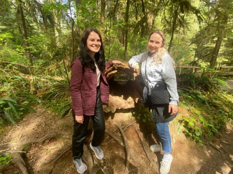 Seattle: Rainforest and Olympic National Park Highlights - Wrapping Up: Why This Tour Works