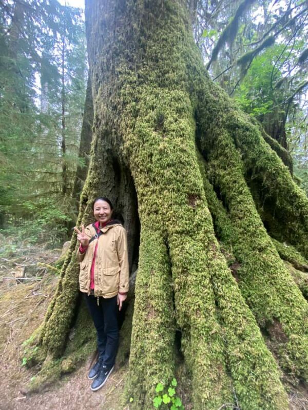 Seattle: Rainforest and Olympic National Park Highlights - Final Thoughts