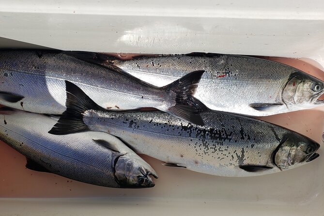 Seattle Salmon Guided Fishing Trip - Provided Equipment and Gear