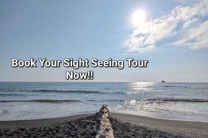 Seattle Scenic Tours & Wine Rides (Hourly) - Guest Reviews