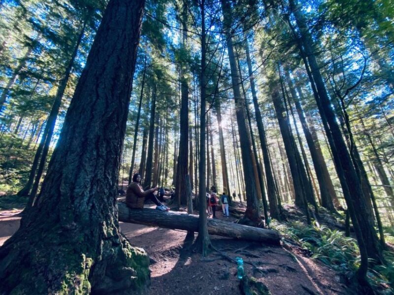 Seattle: Sensory Hike in Twin Fall for Adventurous Families - Itinerary Highlights