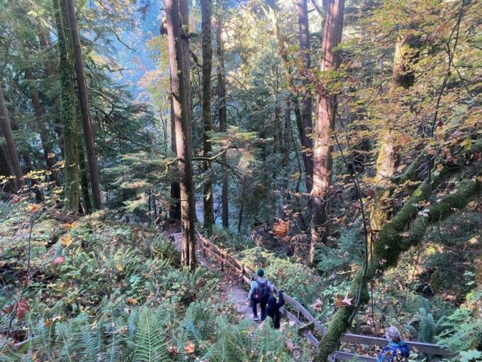 Seattle: Sensory Hike in Twin Fall for Adventurous Families - Adventure Itinerary via Travel App