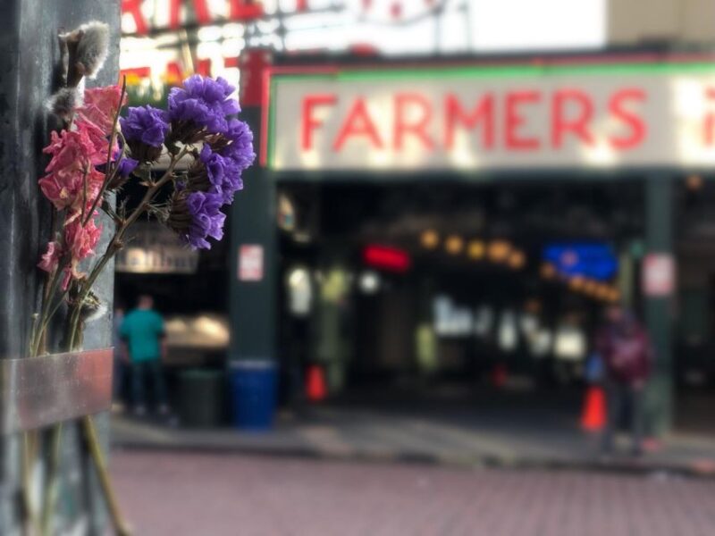 Seattle Sights: From Skyline Peaks to Aged Alleys - Experience Description