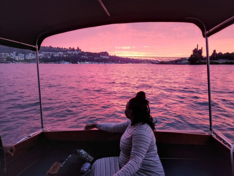 Seattle: Sightseeing Cruise - Experience and Itinerary