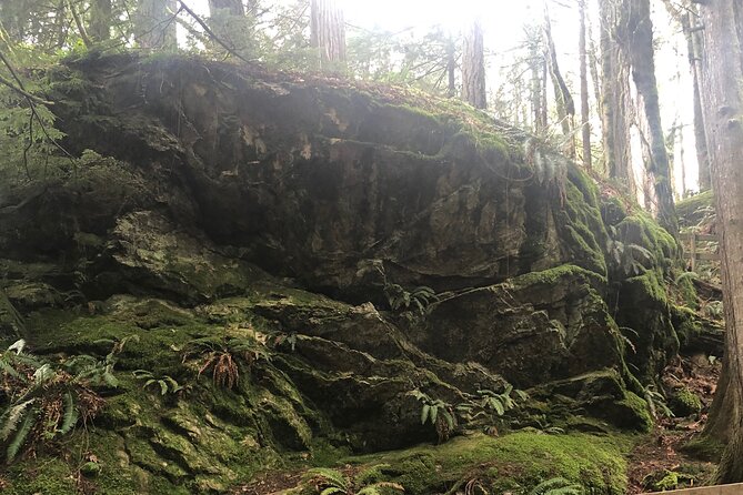 Seattle Waterfall Experience - Tour Itinerary