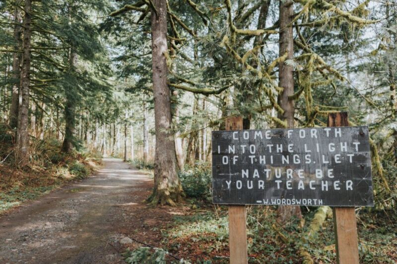 Seattle: Waterfall Wonderland Hike in Wallace Falls Park - Guide and Expertise