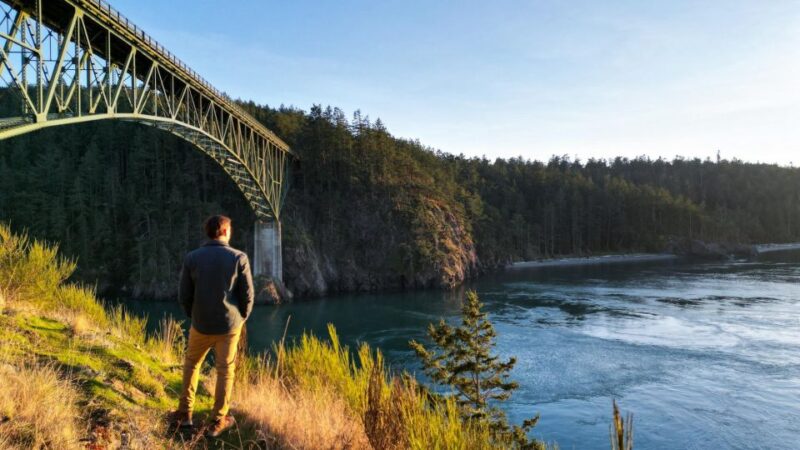 Seattle: Whidbey Island Deception Pass + Winter Birding Trip - Wildlife and Scenic Features
