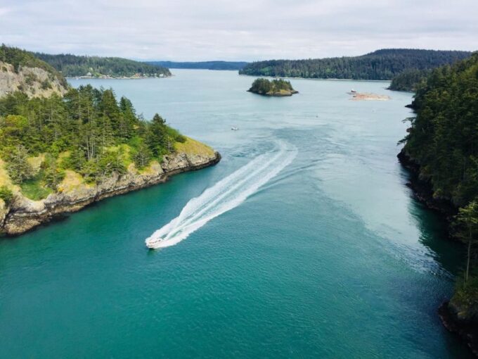 Seattle: Whidbey Island Deception Pass + Winter Birding Trip - Pickup and Drop-off