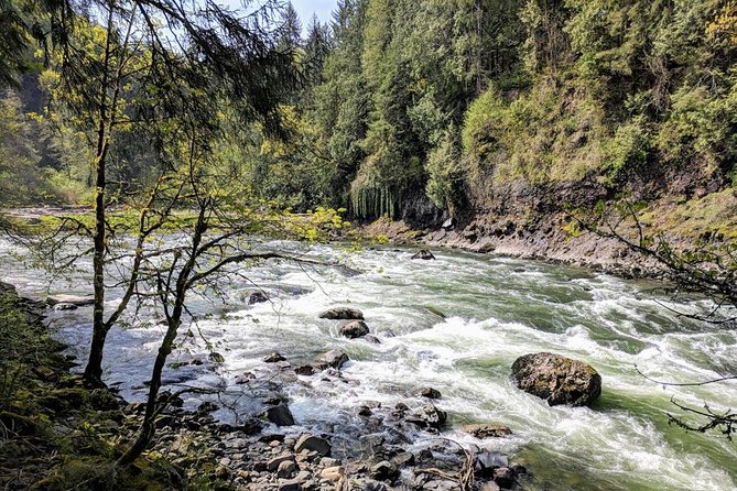 Seattle Wine and Waterfall Luxury Small-Group Day Tour With Lunch - Savoring the Gourmet Lunch