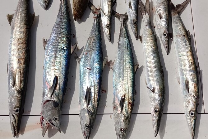 Seawake Private Fishing Trip in Dubai - Participation Requirements