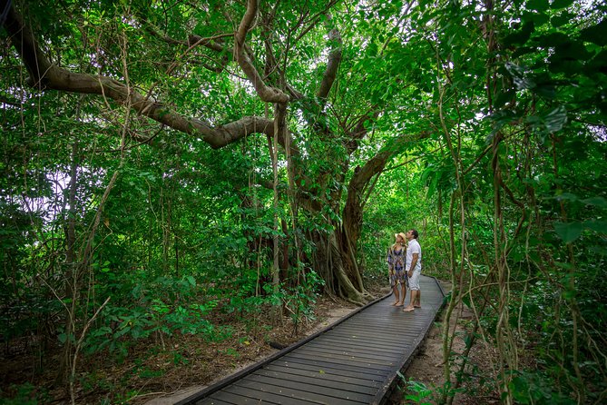 Seawalker Helmet Experience and Green Island Combo From Cairns - Meeting Point and Check-in