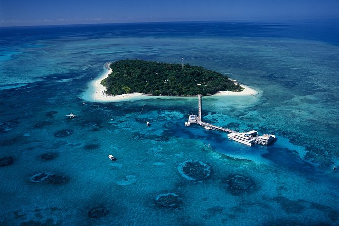 Seawalker Helmet Experience and Green Island Combo From Cairns - Tips and Recommendations