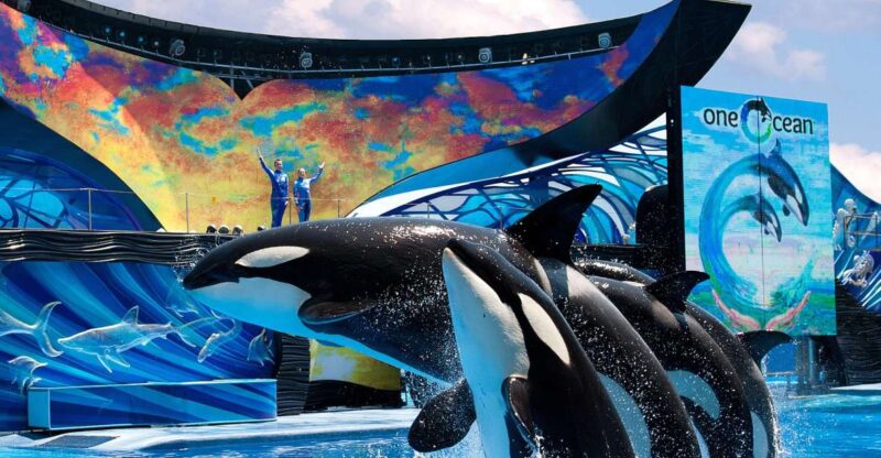 SeaWorld Orlando: Park Admission Ticket - Park Experiences and Attractions