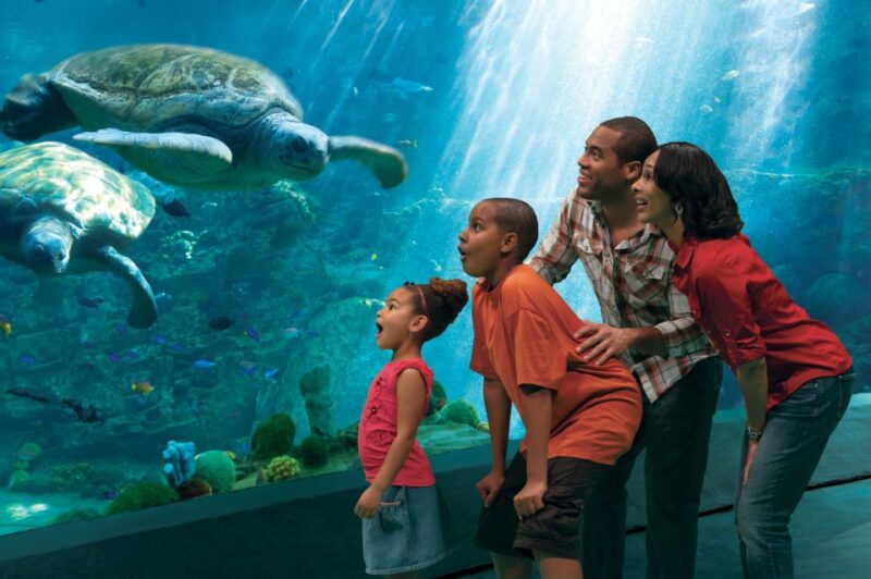 SeaWorld Orlando: Park Admission Ticket - Accessibility and Planning