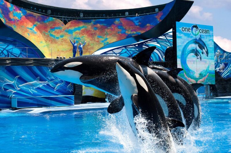 SeaWorld Orlando: Park Admission Ticket - Frequently Asked Questions