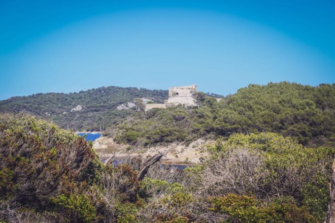 SEAYOU ESCAPE Porquerolles: Excursions + Meals Paradise - Flexible Cancellation Policy