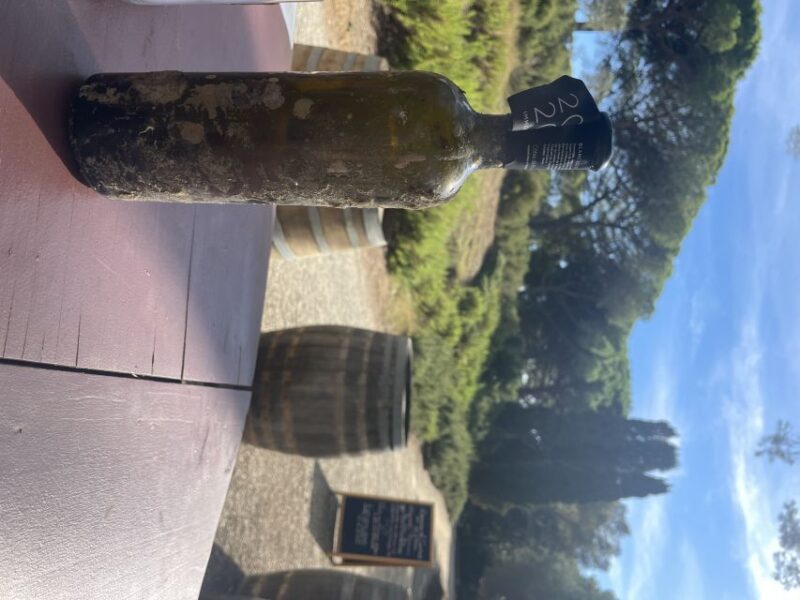 SEAYOU ESCAPE Porquerolles: Semi-Rigid Excursion ODYSSEY - Key Points