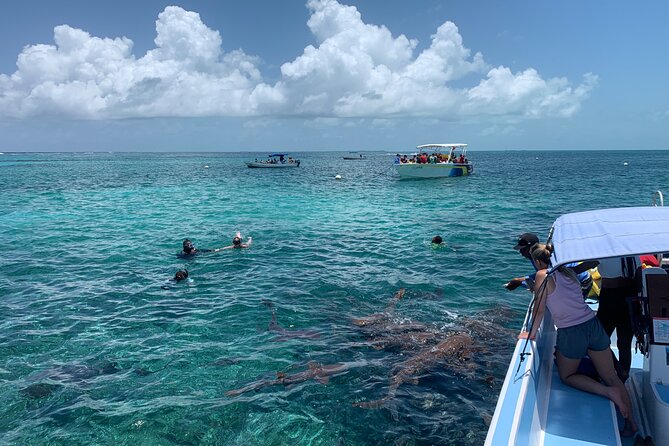 Second Largest Barrier Reef Adventure Snorkeling - Overview of the Tour