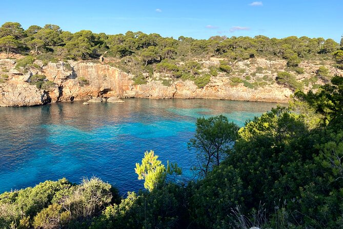 Secret Corners and Tastes of Mallorca by Private SUV Tour - Experiencing Local Traditions