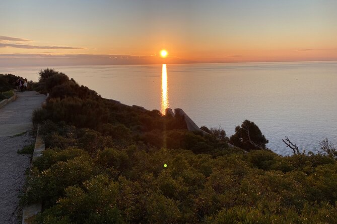 Secret Corners and Tastes of Mallorca by Private SUV Tour - Convenient Transportation and Accessibility