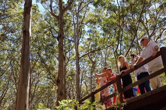 Secret Delights: Half-Day Wine, Coffee, Artisan and Forest Tour - Lunch and Beverages