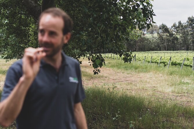 Secret Delights: Half-Day Wine, Coffee, Artisan and Forest Tour - Transportation and Accessibility