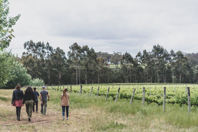 Secret Delights: Half-Day Wine, Coffee, Artisan and Forest Tour - Reservation and Cancellation