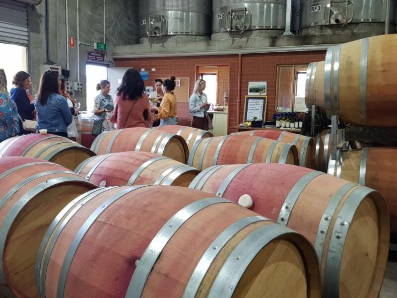 Secret Delights: Wine, Coffee, Artisan and Forest Tour - Key Points