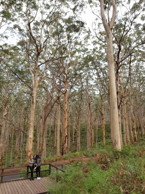 Secret Delights: Wine, Coffee, Artisan and Forest Tour - Coffee Tasting Experience