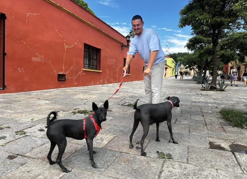 Secret Food Tour: Oaxaca De Juárez - Experience Highlights