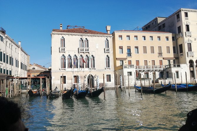Secret Gardens of Venice in the Dorsoduro District With Cichetti Tasting - Discovering Secret Gardens