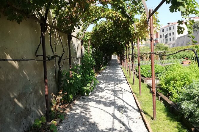 Secret Gardens of Venice Walking Tour - Navigating the Historic Districts