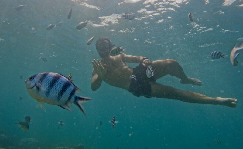 Secret Gili Private Snorkeling Boat Trip - Key Points