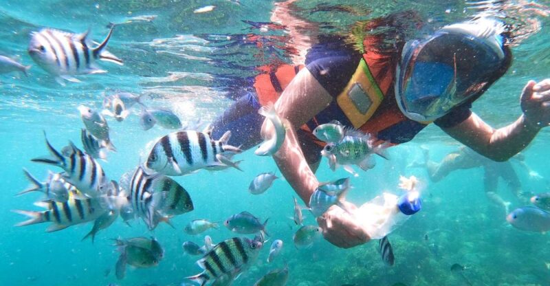 Secret Gili Private Snorkeling Boat Trip - Itinerary Highlights