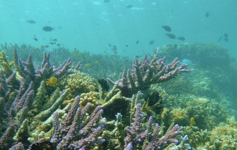 Secret Gili Private Snorkeling Boat Trip - Inclusions and Exclusions