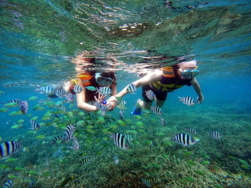 Secret Gili Private Snorkeling Boat Trip - Customer Reviews and Ratings