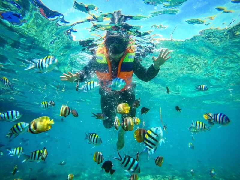 Secret Gili Private Snorkeling Boat Trip - Exploring the Gili Islands