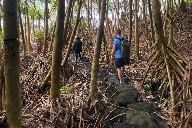 Secret Jungle Tide Pool Hike - Private - Key Points