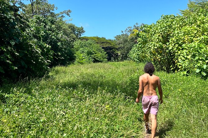 Secret Jungle Tide Pool Hike - Private - Reviews and Feedback