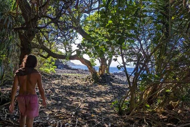 Secret Jungle Tide Pool Hike - Private - Exploring the Hidden Gem