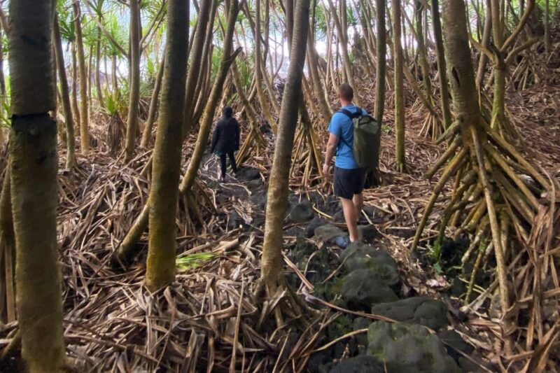 Secret Jungle Tide Pool Short Hike (Private) - Itinerary and Hiking Details