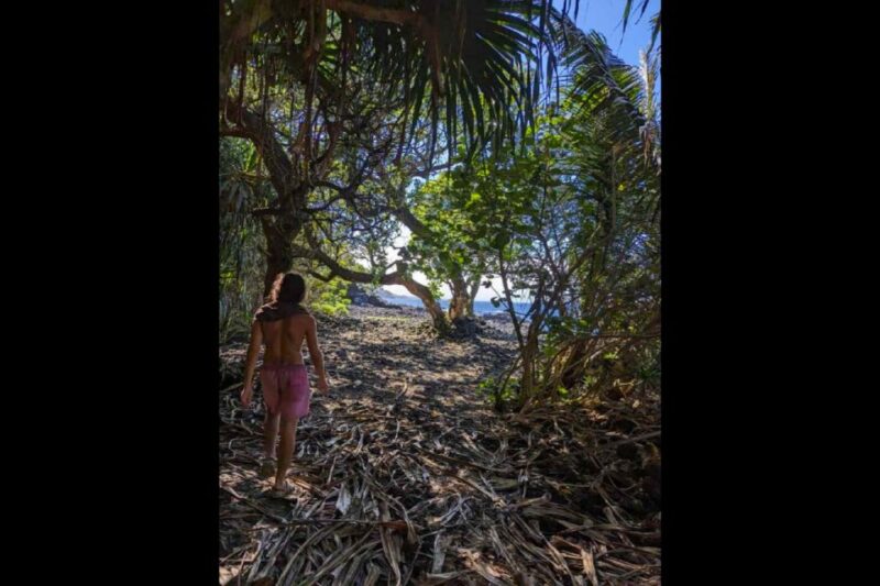 Secret Jungle Tide Pool Short Hike (Private) - Personal Guide Information