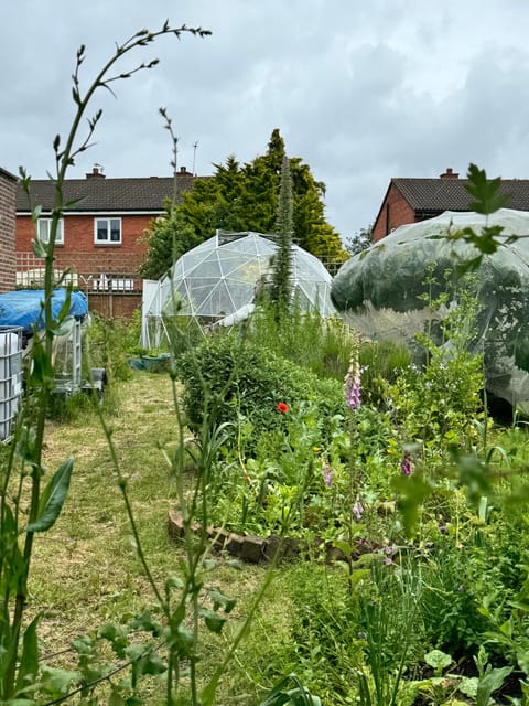 Secret Liverpool: Sustainable Food & Wine Walking Tour - Foraging in the Urban Wilderness