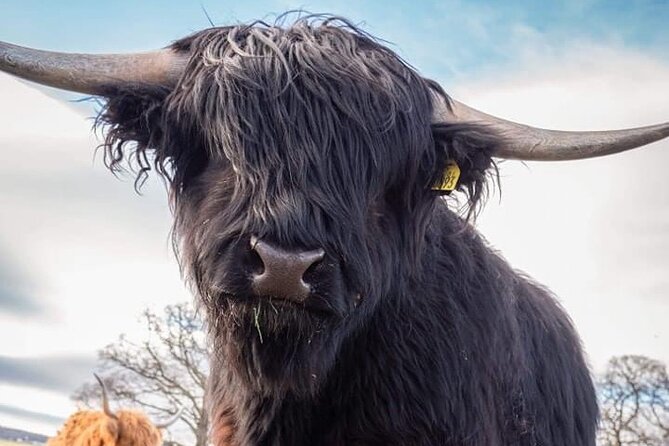 Secret Loch Ness, Inverness & Cawdor Castle Tour From Invergordon - Tour Overview and Details