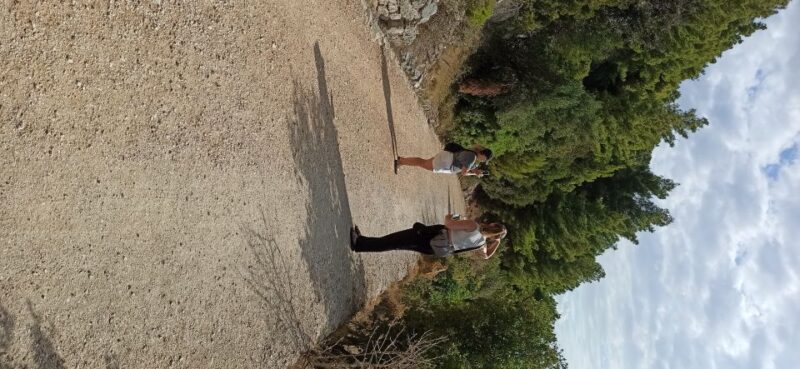 Secret Marjan Park Hiking Tour in Split - Tour Experience
