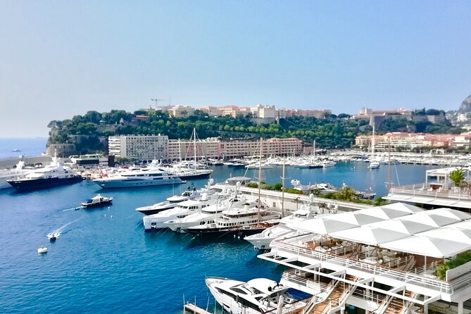 Secret Monaco : Hidden Gems, Art & Monumental Trees - Strolling Through Lush Landscaped Parks