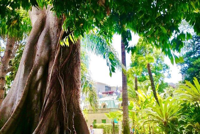 Secret Monaco : Hidden Gems, Art & Monumental Trees - Traversing the Port via Solar Boat